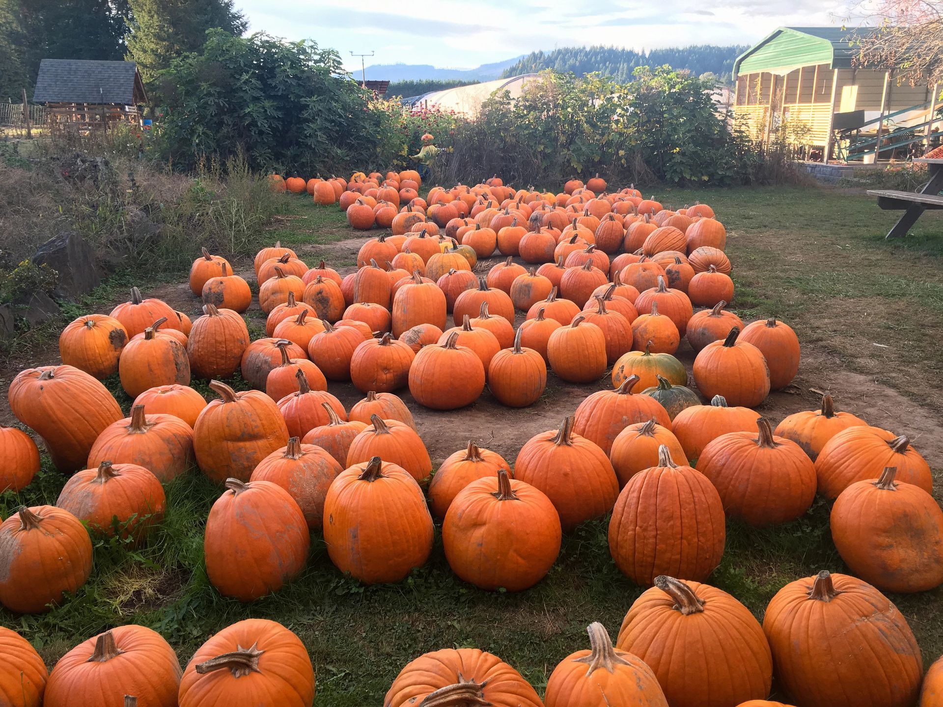 “What’s Happening This Week in and around Fairfield County: Seasonal Picks & Local Highlights”