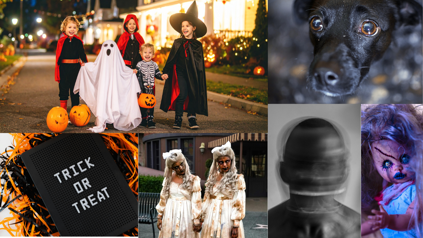 99+ Things to Do This Halloween Weekend in Fairfield County