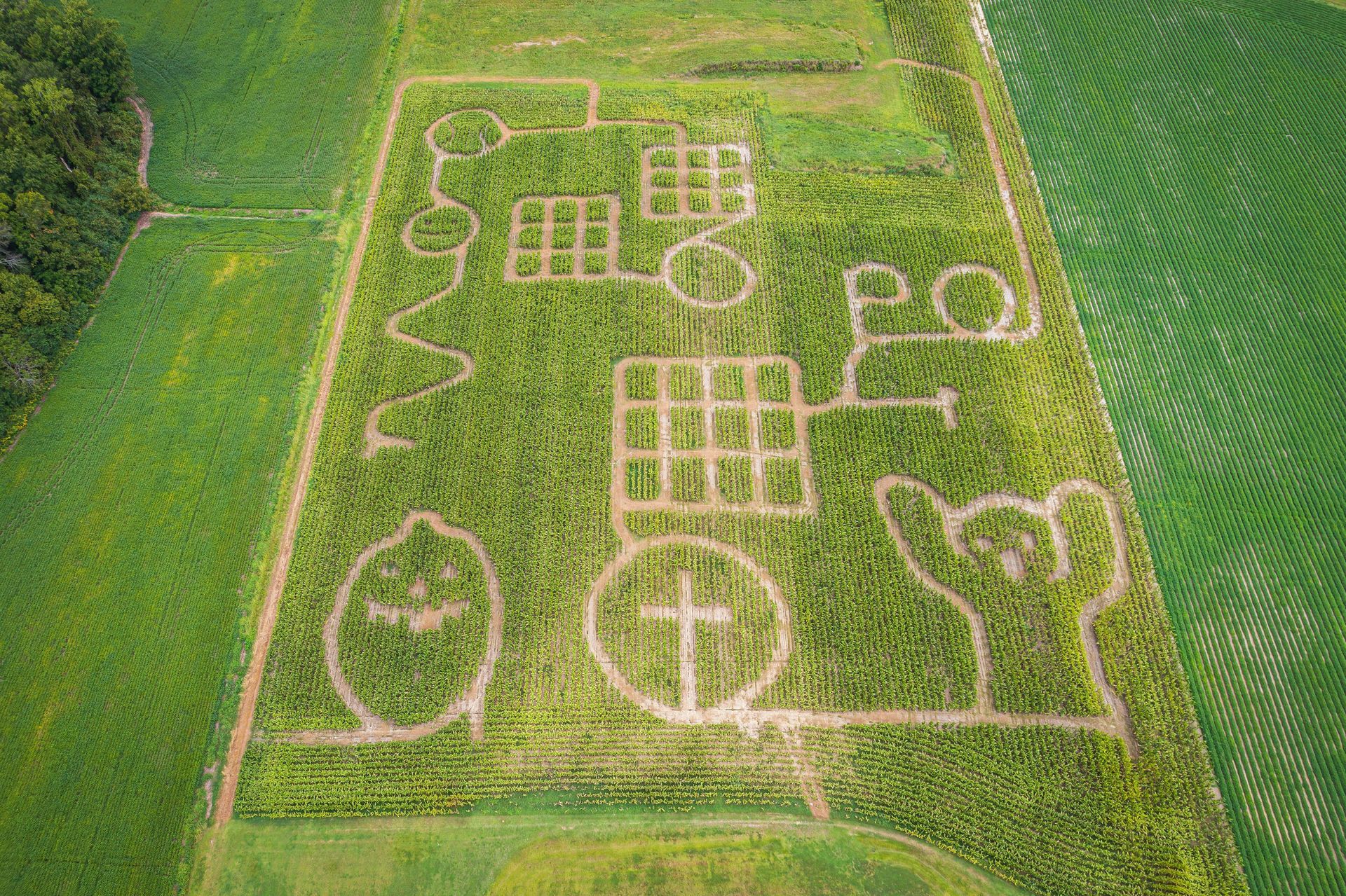 Finding the Best Corn Mazes in Connecticut.