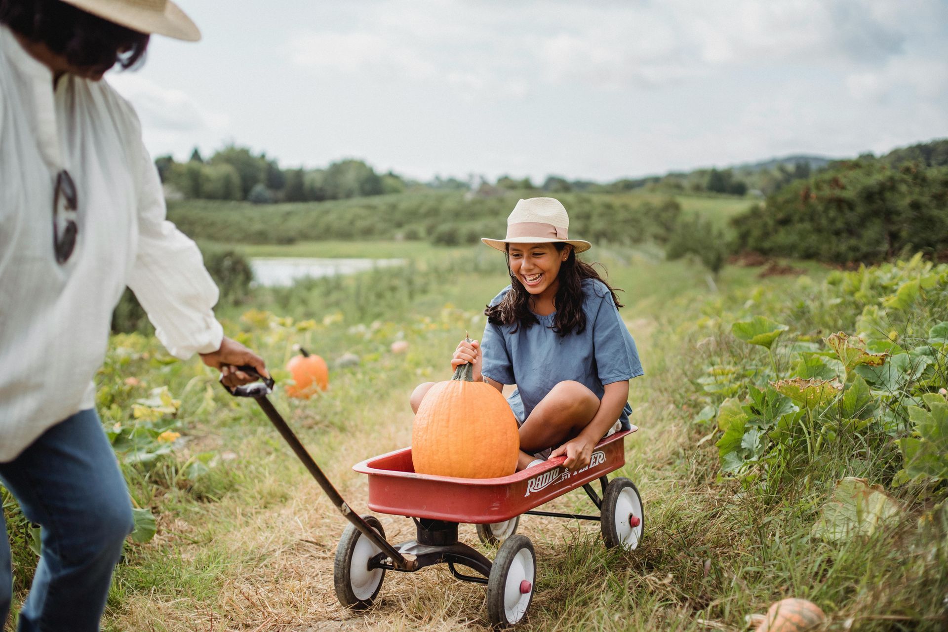 Pumpkin Picking in and around Fairfield County