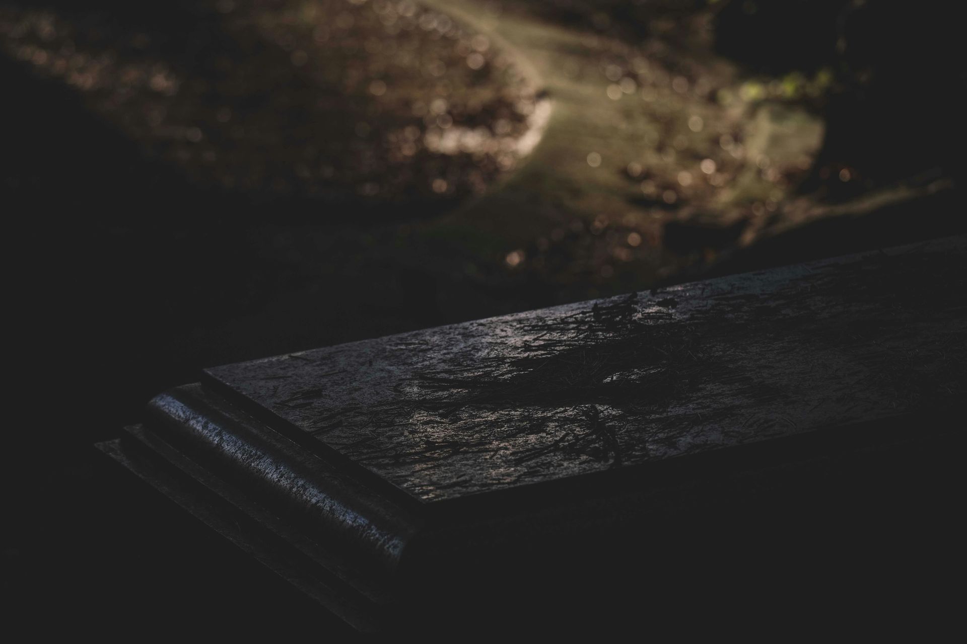 Grave Robbing