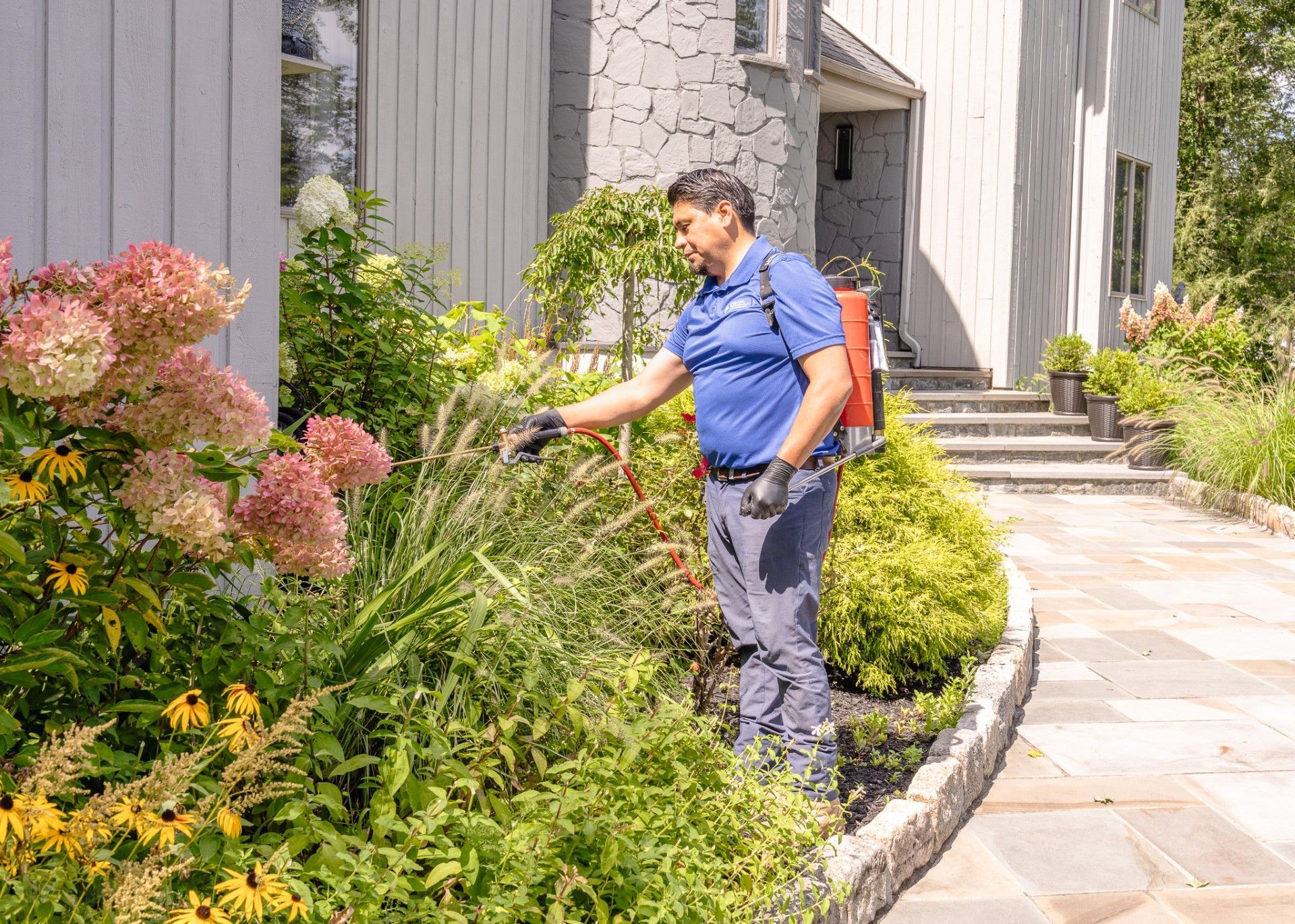 JP McHale&rsquo;s Ultimate Guide to Preventing Late Summer Pests: Stinging Insects, Carpenter Ants, Mosquitoes, and Ticks