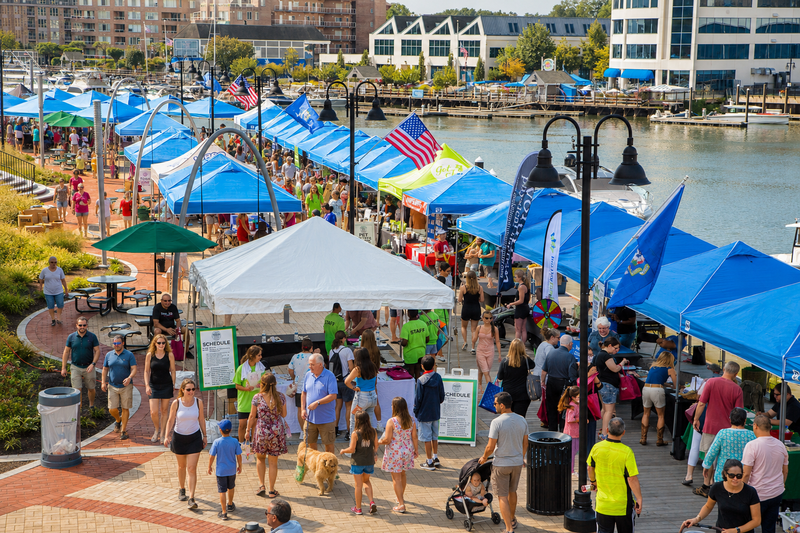 The Health Wellness & Lifestyle Expo: A 15-Year Tradition of Community Wellness With Special Thanks to Stamford Health, Exclusive Healthcare Partner