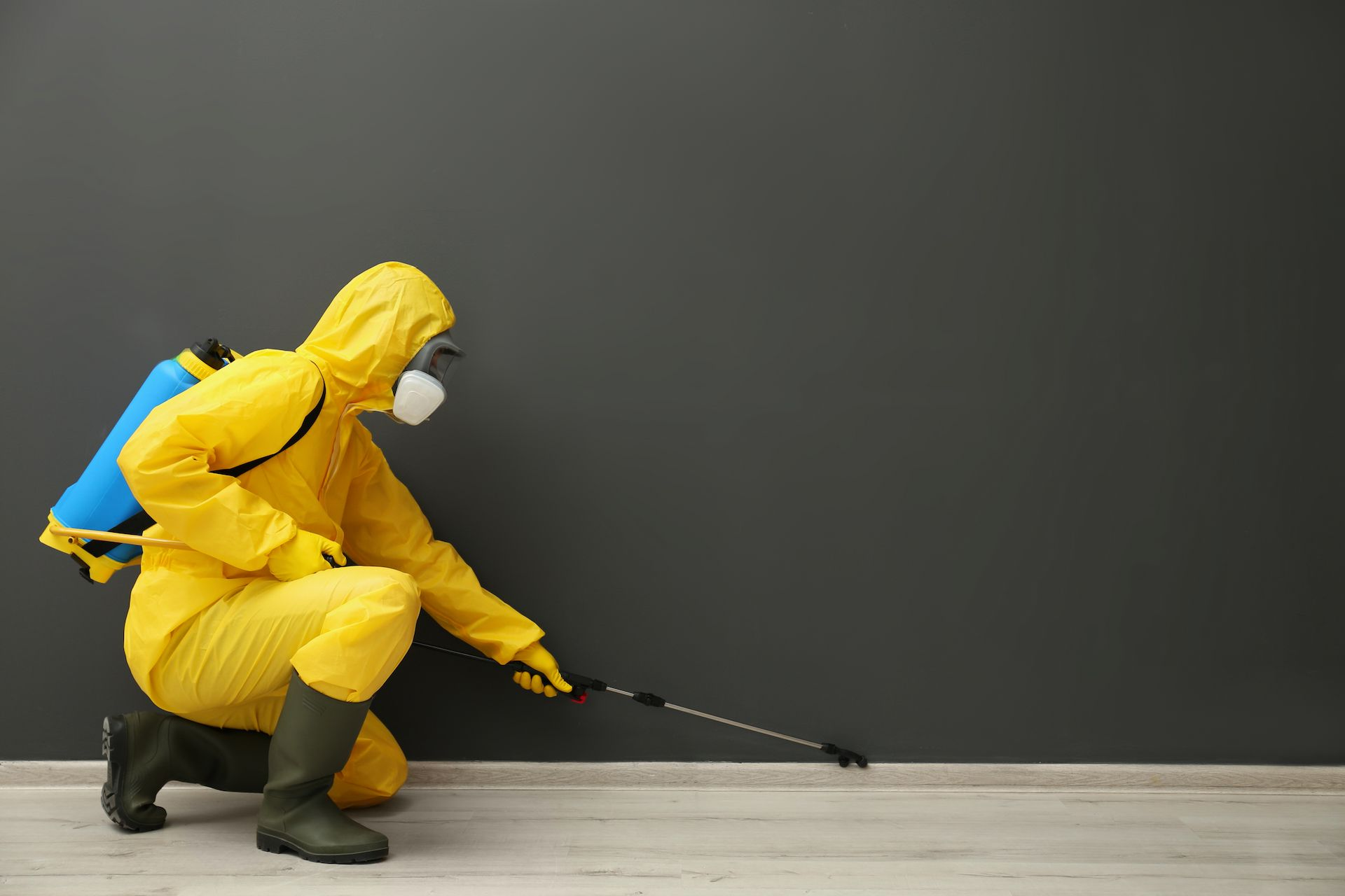 Person in yellow hazmat suit crouches and sprays the floor with a long wand against a dark wall. — Bad Bugs Pest Control in Rockhampton, QLD