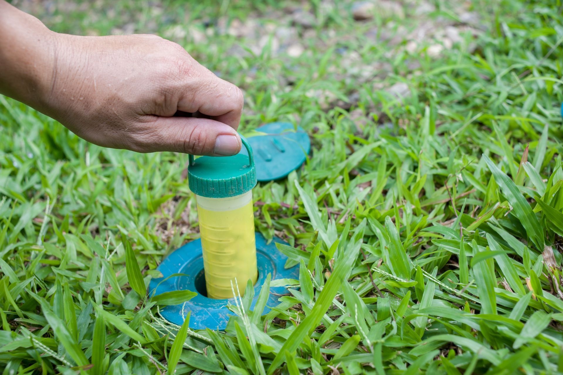 Hand placing a pesticide container in a blue ring in grass. Container is green and yellow — Bad Bugs Pest Control in Gracemere, QLD