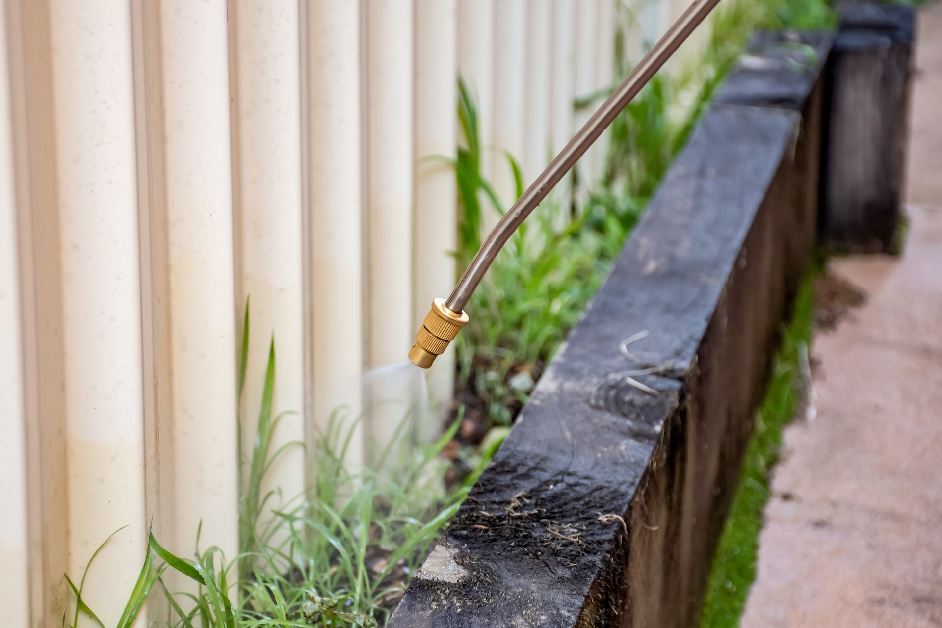 Spraying weeds along a concrete wall and white fence with a nozzle — Bad Bugs Pest Control in Gracemere, QLD