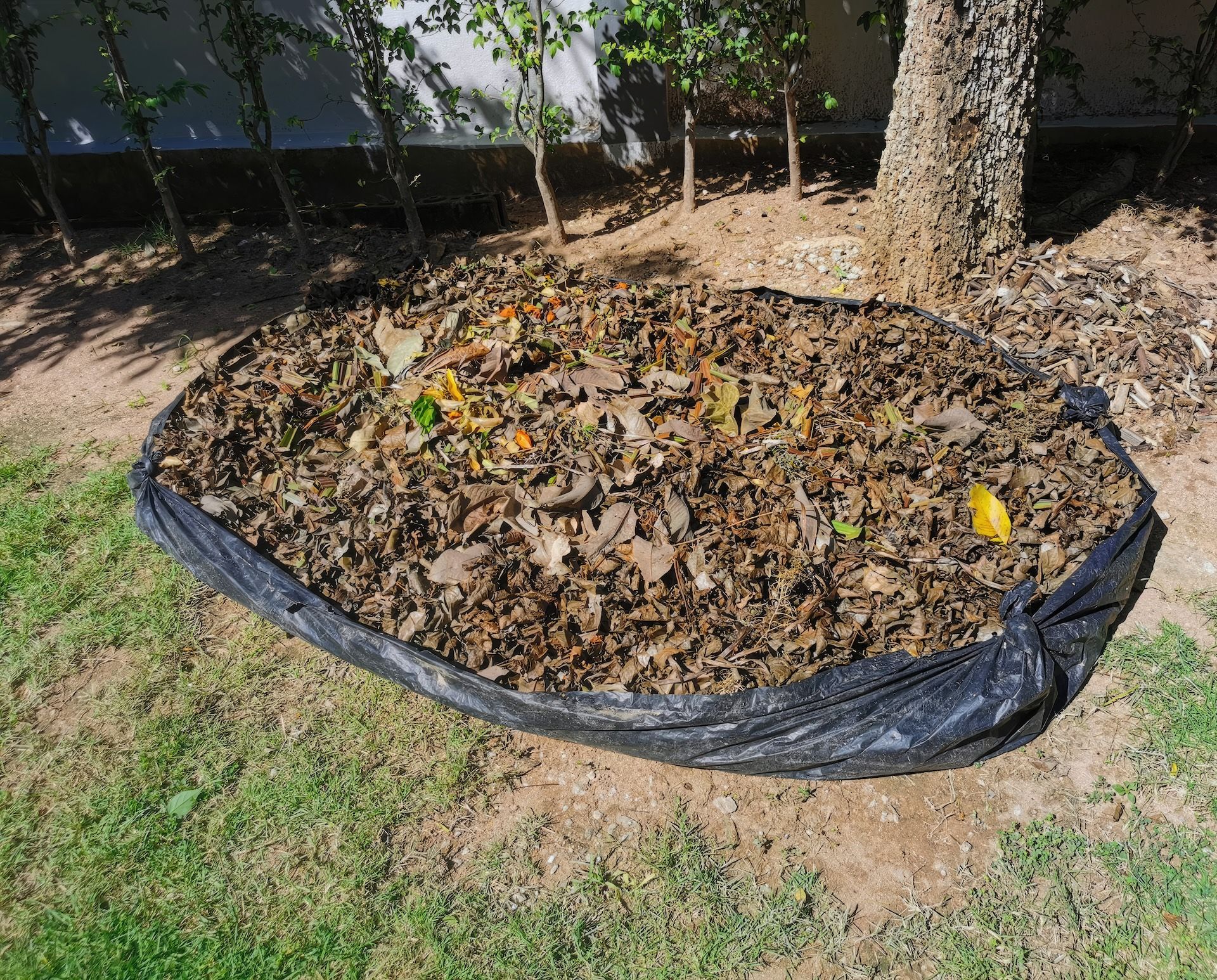 Black plastic sheet holding pile of brown leaves on green grass, next to a tree — Bad Bugs Pest Control in Gracemere, QLD
