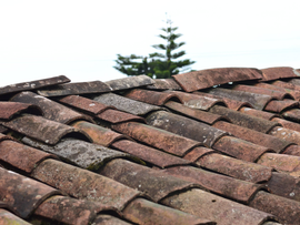 Weathered brown clay roof tiles with a tree rising in the background