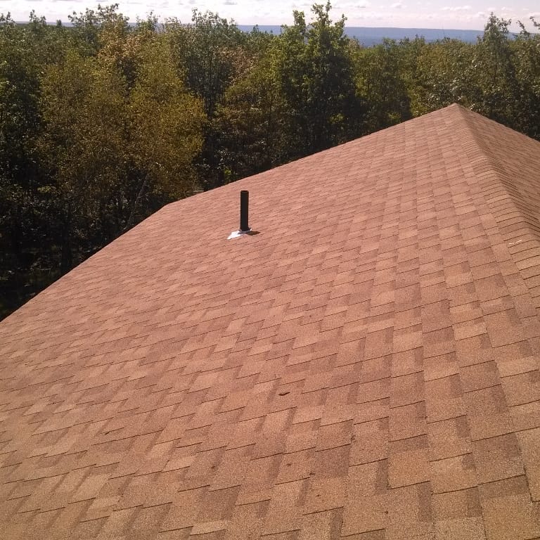 Brown shingled roof with a small black vent, bordered by dense green trees