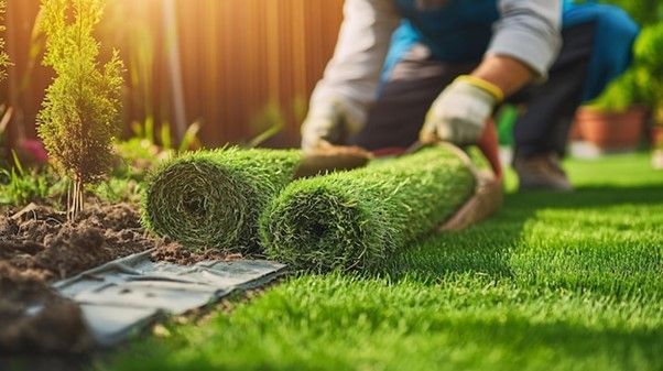 Installation of Synthetic Grass
