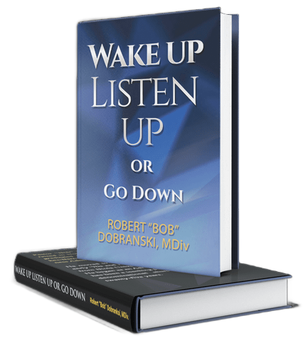 Book cover for