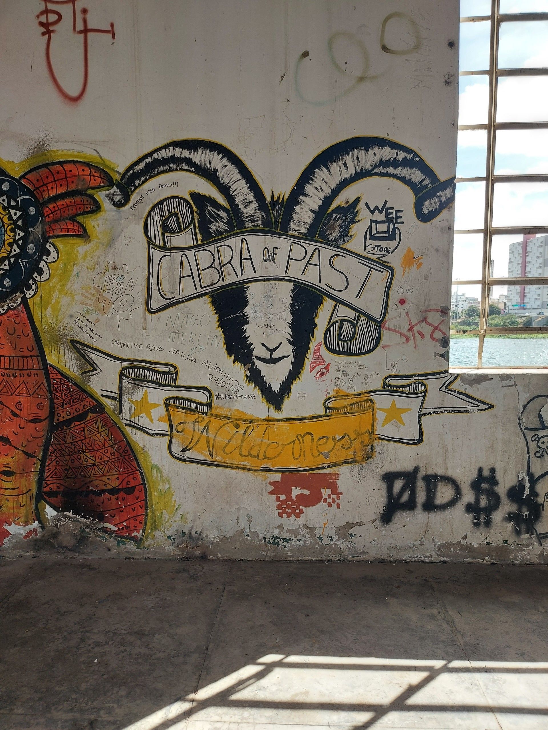 Mural de grafite com o rosto de um animal em preto e branco em uma parede, com o chão iluminado pelo sol e grades de janela próximas.