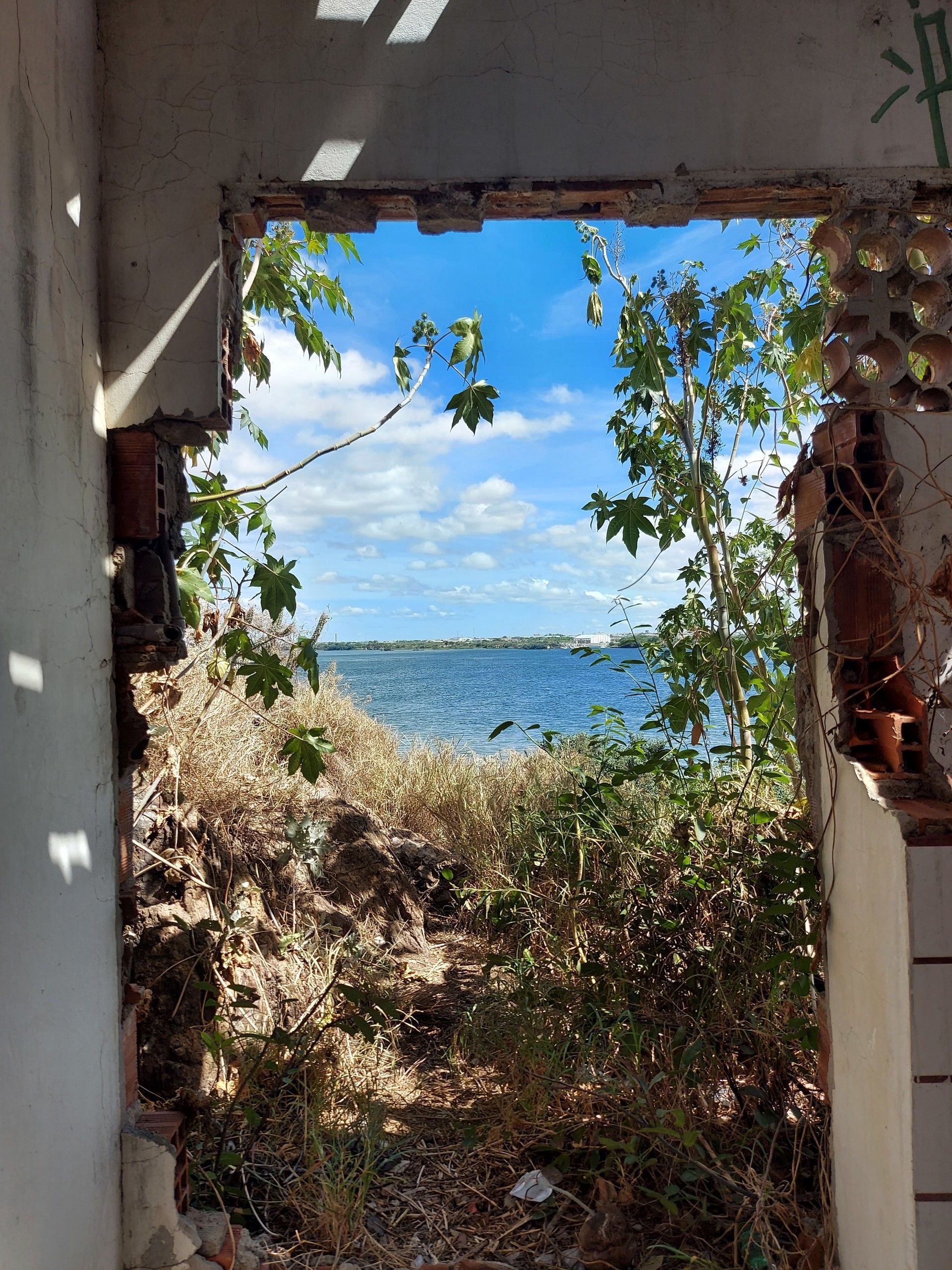 Vista através de uma porta em ruínas para o mar e o céu azuis, emoldurada por plantas que cresceram descontroladamente e paredes em ruínas.