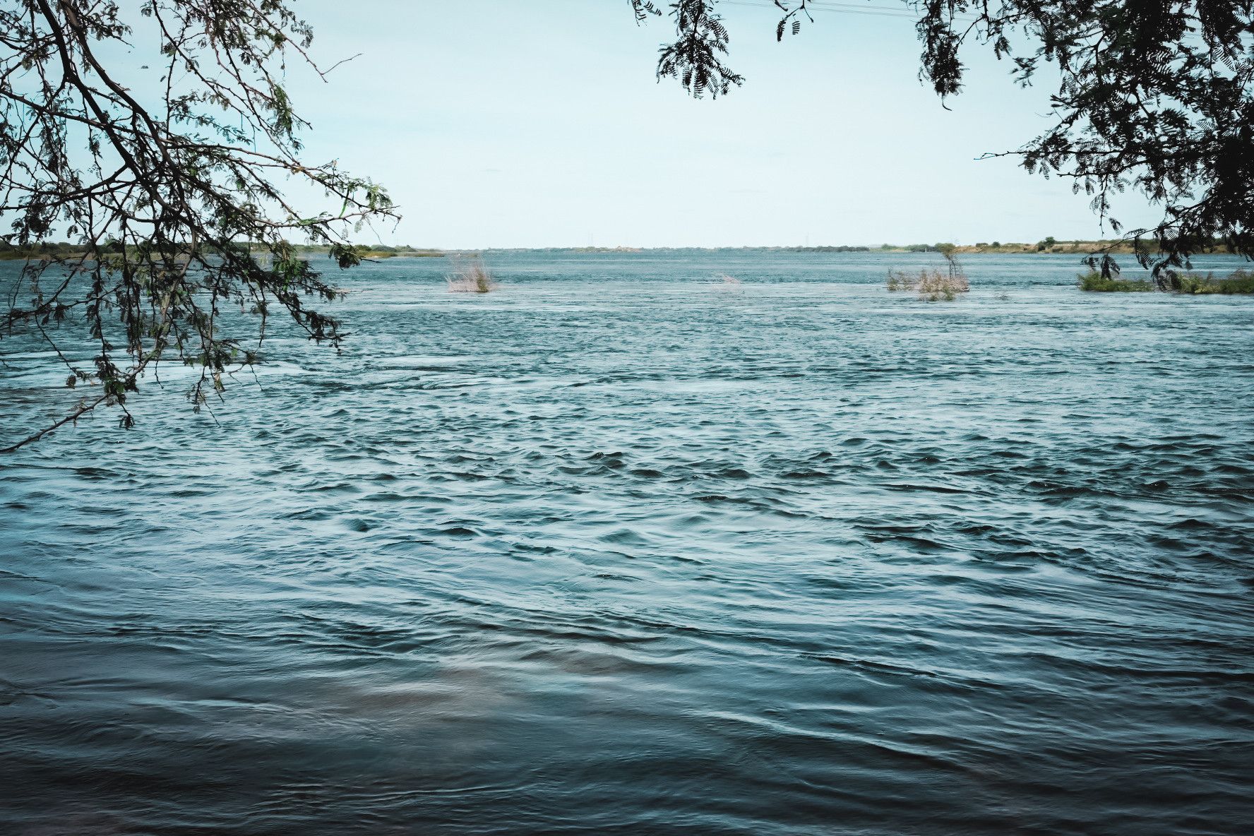 Lago azul calmo com águas ondulantes e galhos de árvores emoldurando a margem.
