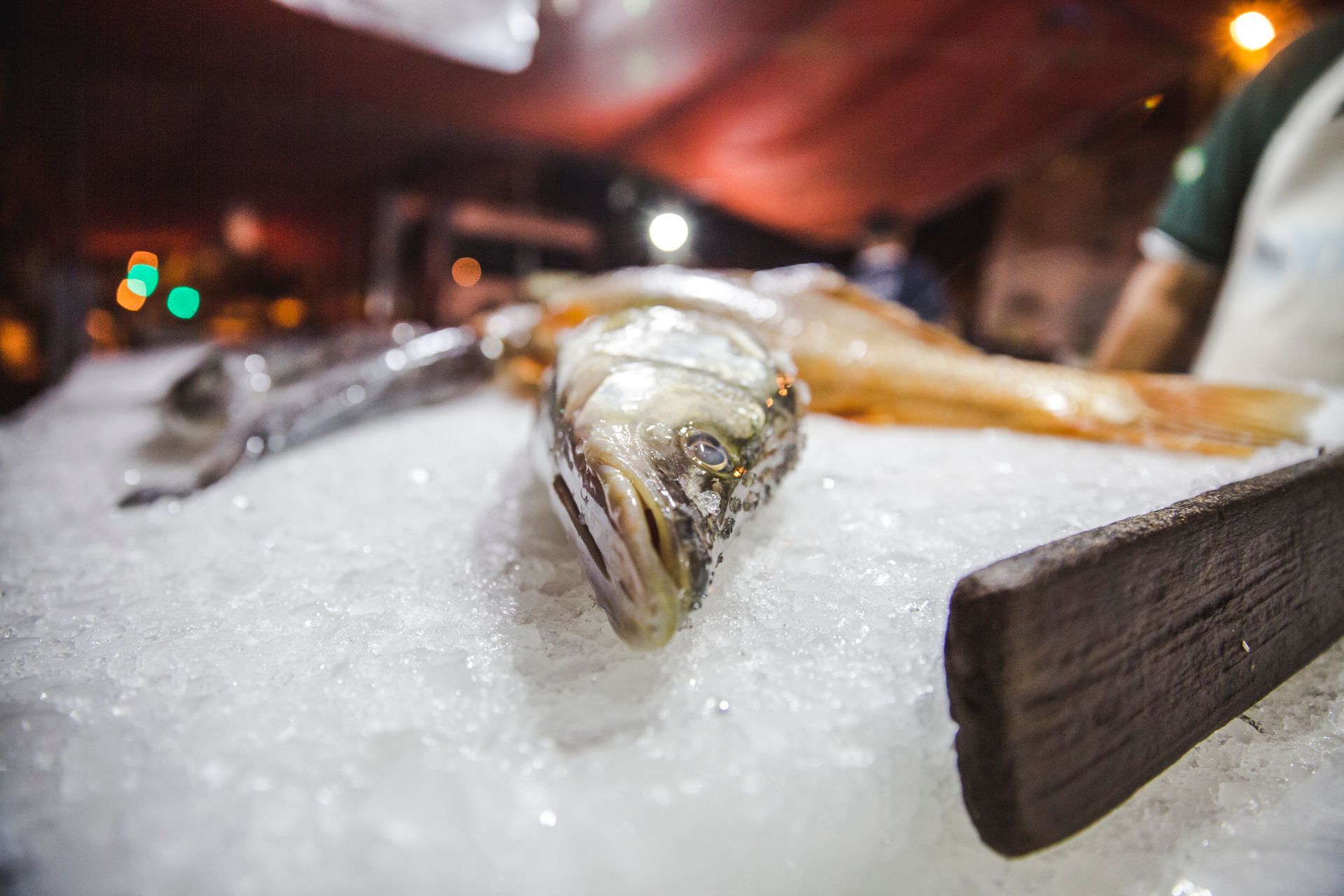 Peixes expostos sobre gelo picado em uma barraca de mercado com fundo desfocado.