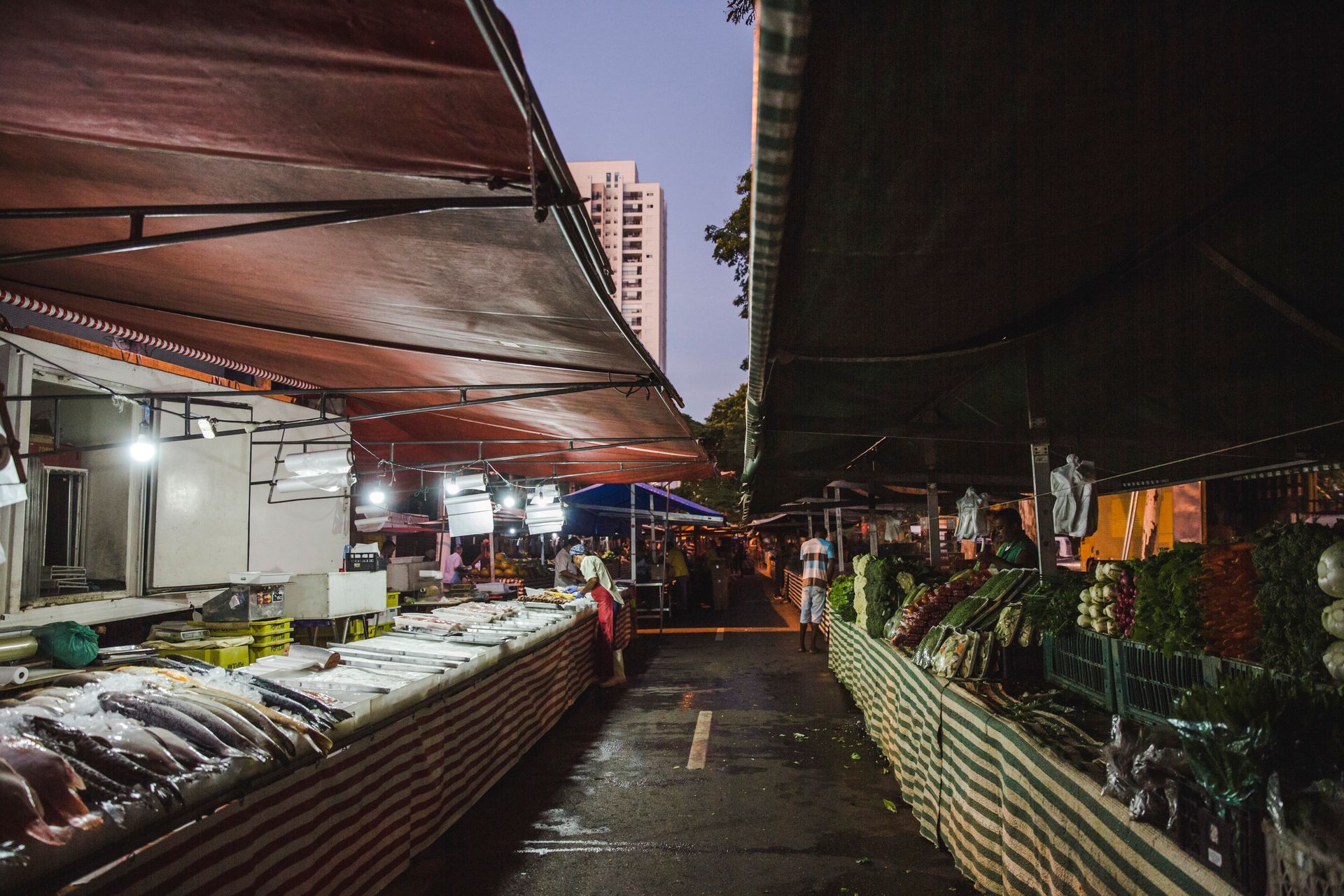 Passarela de mercado noturno com fileiras de barracas e produtos sob toldos, iluminada por luzes brilhantes.