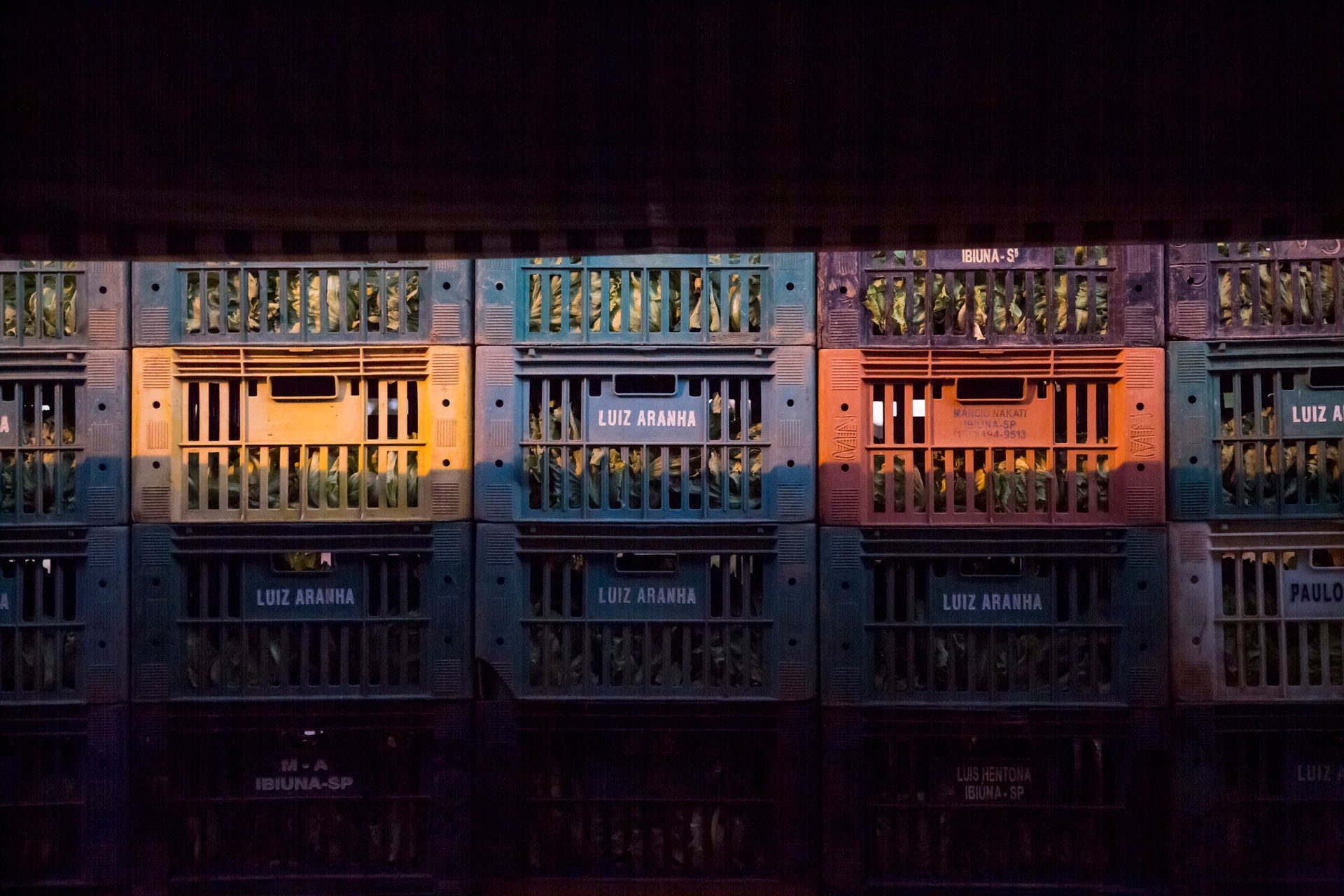 Fileira colorida de contêineres industriais refletida na água escura ao entardecer.