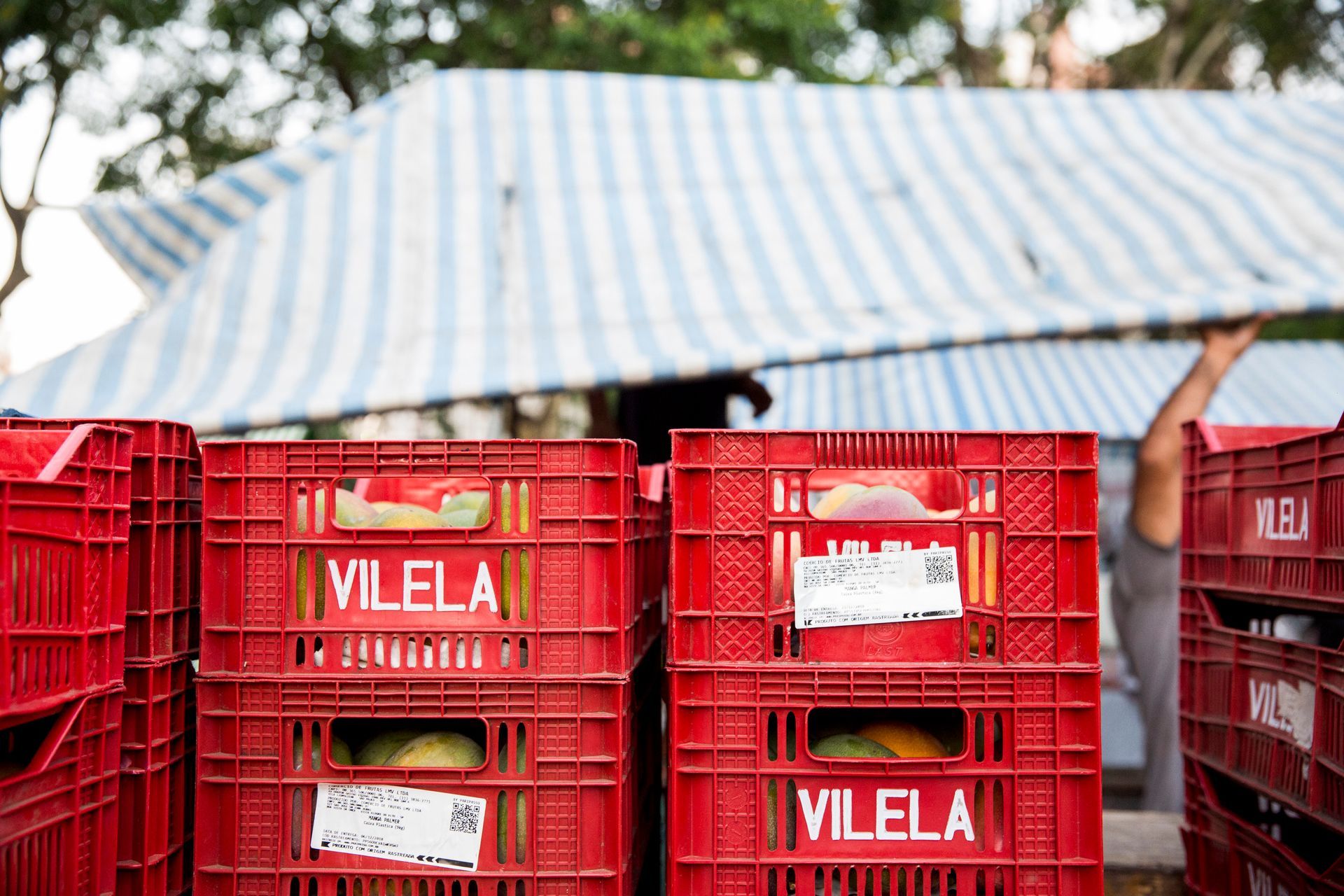 Pilhas de caixas vermelhas com a etiqueta VILELA sob uma lona listrada em uma área de mercado ao ar livre.