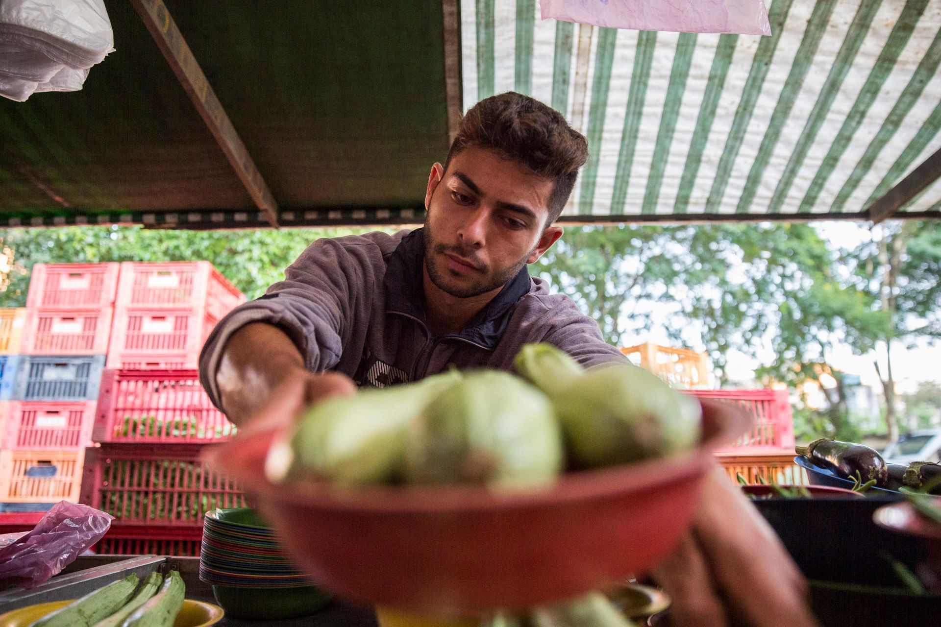 Vendedor estendendo a mão para pegar produtos verdes em uma barraca de mercado.