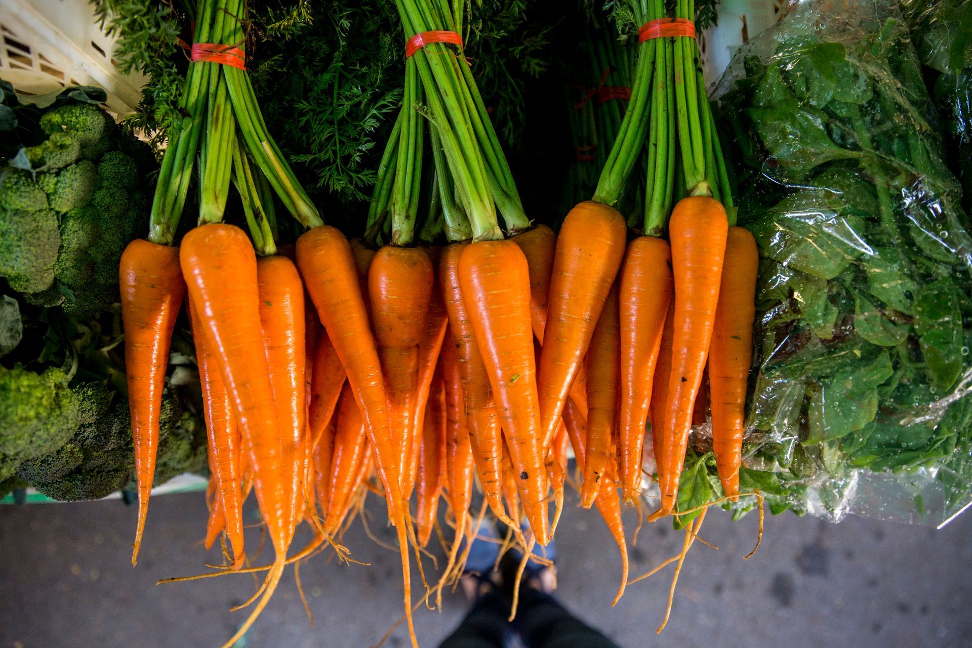 Feixes de cenouras frescas, de cor laranja com folhas verdes, pendurados em uma barraca de mercado.