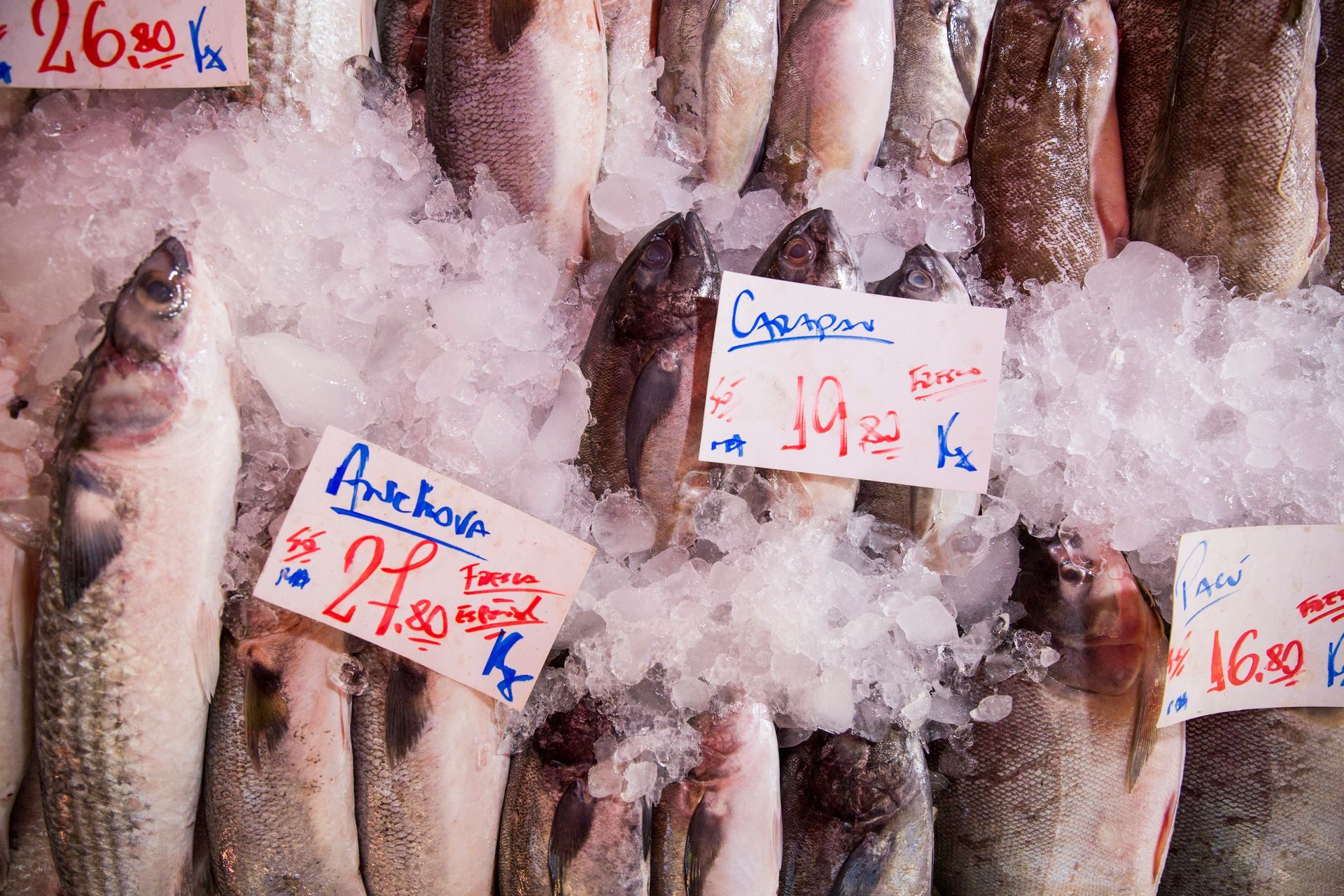 Peixes cobertos de gelo com etiquetas de preço escritas à mão expostos em uma barraca de mercado.
