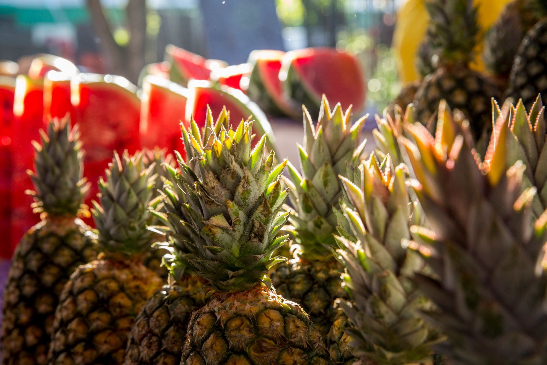 Close-up de abacaxis em uma exposição de mercado com frutas vermelhas desfocadas ao fundo.