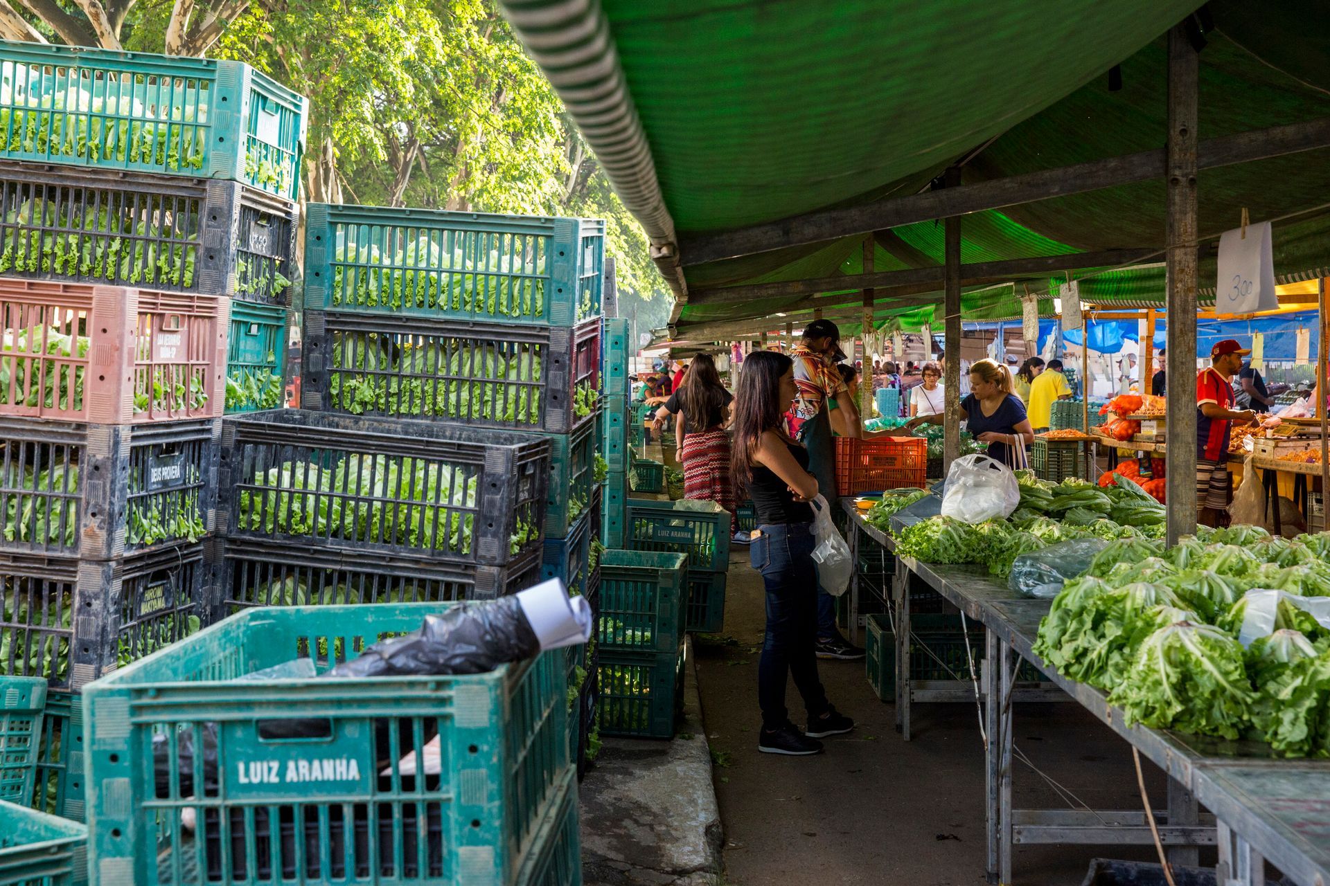 Mercado de produtos frescos ao ar livre com caixas verdes empilhadas e vegetais folhosos sob uma cobertura verde.