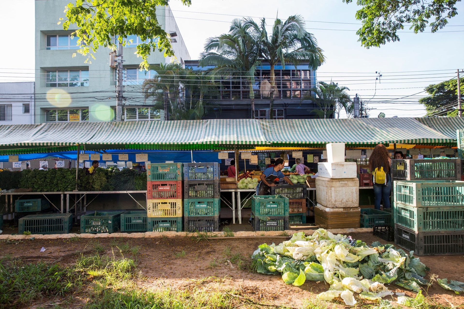 Mercado de plantas ao ar livre com bancas de flores sob um telhado verde e uma pilha de flores brancas na frente.