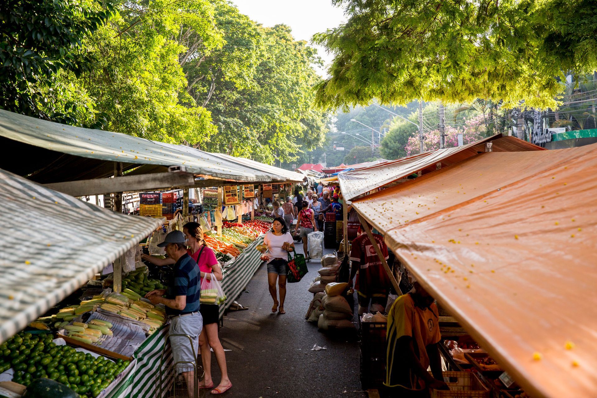 Corredor movimentado de um mercado ao ar livre, entre lonas verdes e laranjas, com vendedores e compradores à luz do dia.