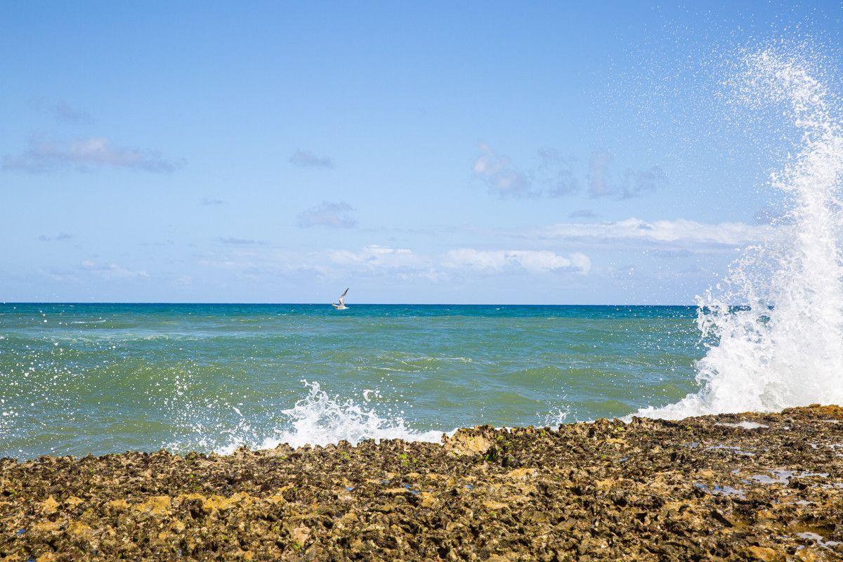 Ondas quebrando contra uma costa rochosa sob um céu azul e mar calmo.
