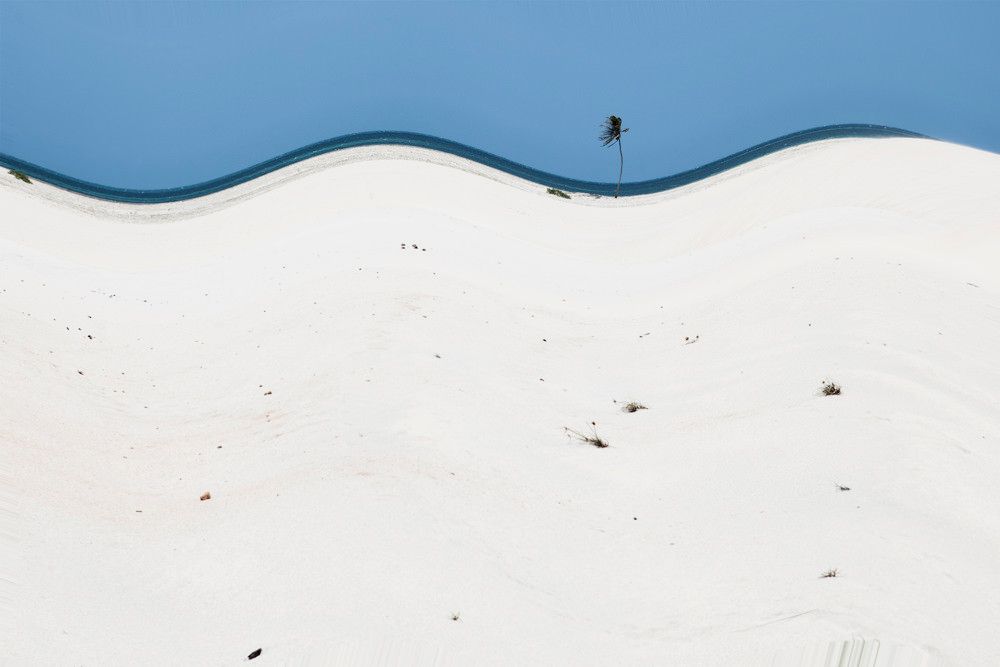 Pequeno inseto sobre água azul e banco de neve branca