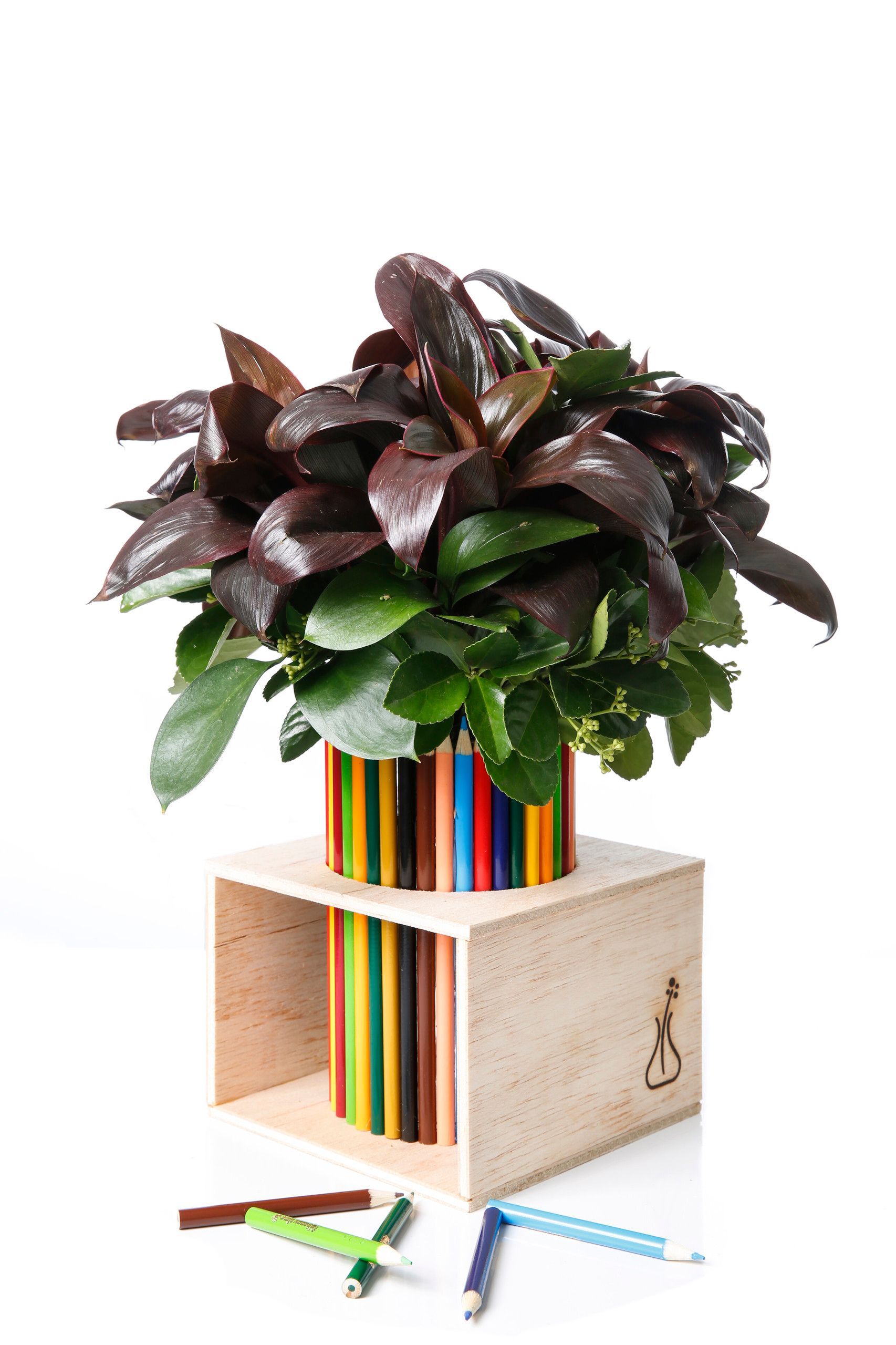 Planta em vaso num suporte colorido com listras e base em forma de cubo de madeira, sobre fundo branco.