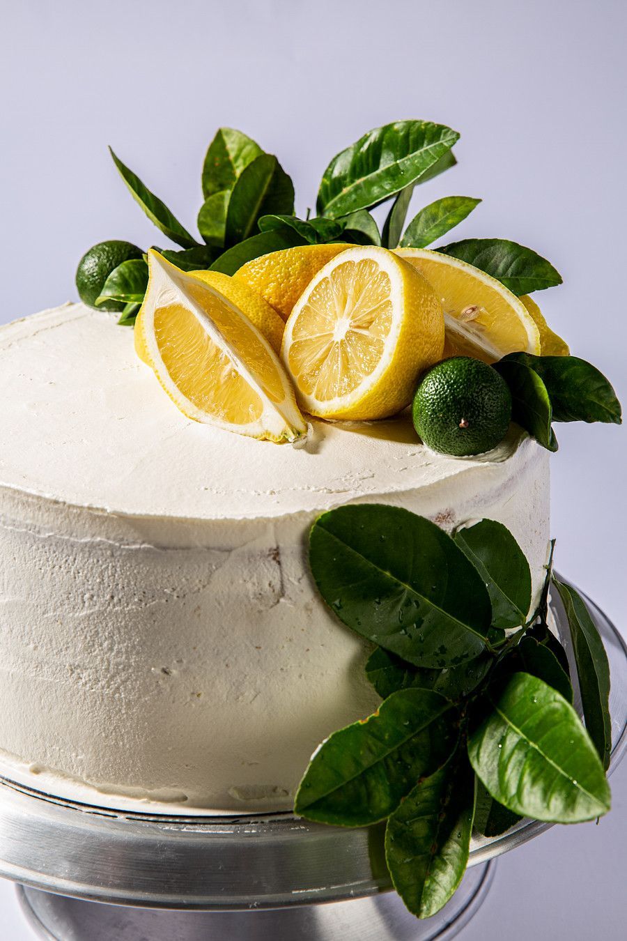 Bolo branco com cobertura de glacê, decorado com fatias de limão, limas inteiras e folhas verdes, sobre um suporte de metal.
