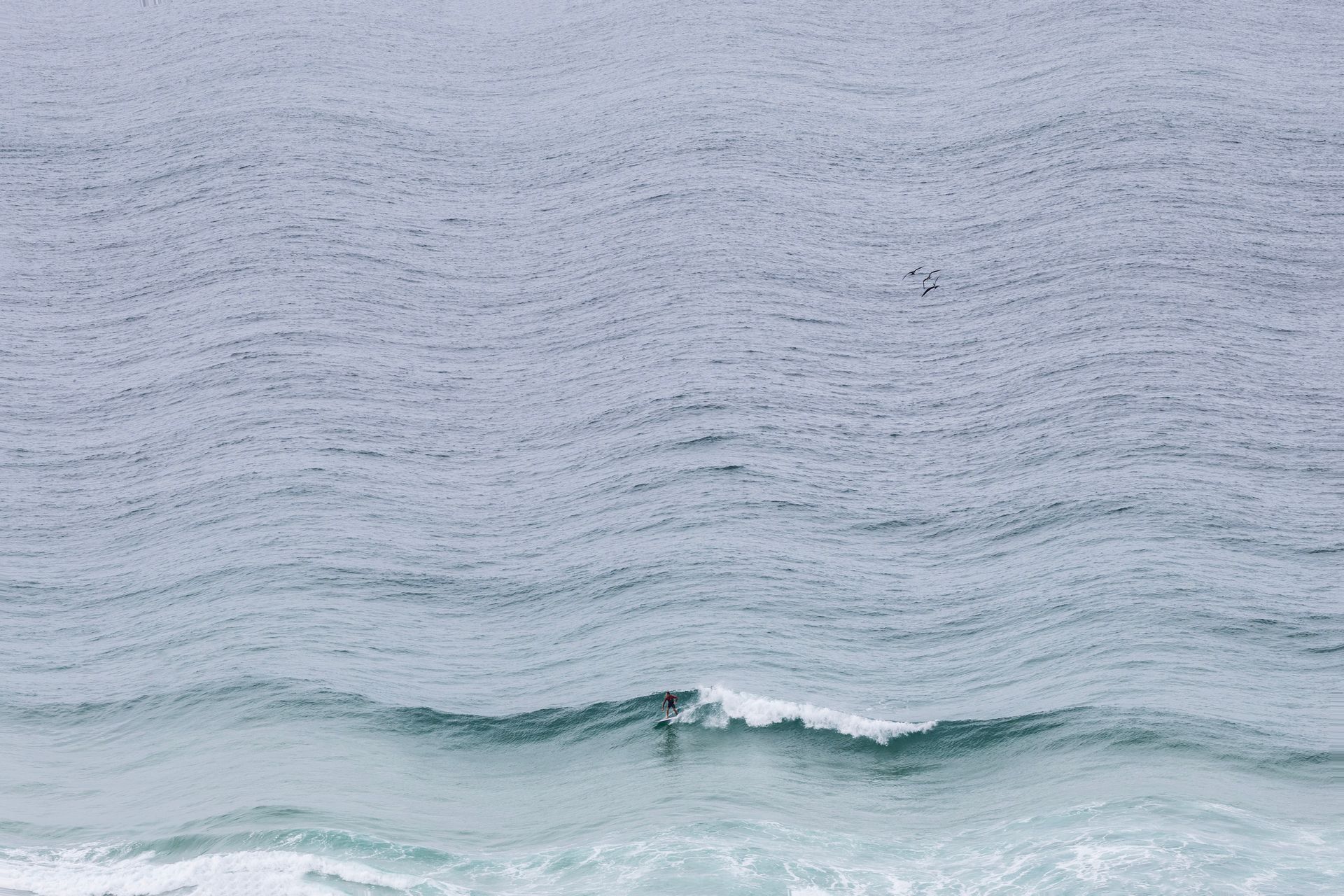 Superfície calma e cinzenta do oceano com uma pequena onda quebrando perto do fundo.