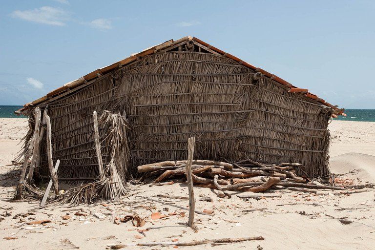 Cabana de palha desgastada pelo tempo em uma praia de areia, com pedaços de madeira à deriva na frente e o oceano ao fundo.