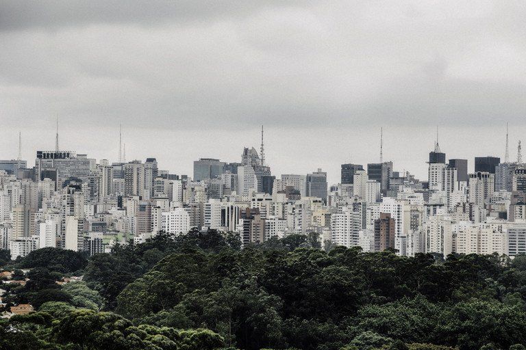 Horizonte da cidade com arranha-céus brancos sob um céu nublado, visto acima de uma faixa de árvores verde-escuras.