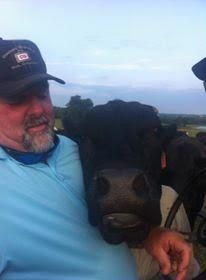 Man in a blue shirt and cap standing beside a black cow outdoors at dusk