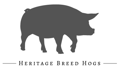 Silhouette of a hog above the words “Heritage Breed Hogs”