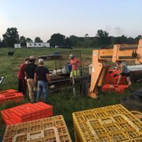 Workers loading orange crates beside a field with a machine at dusk