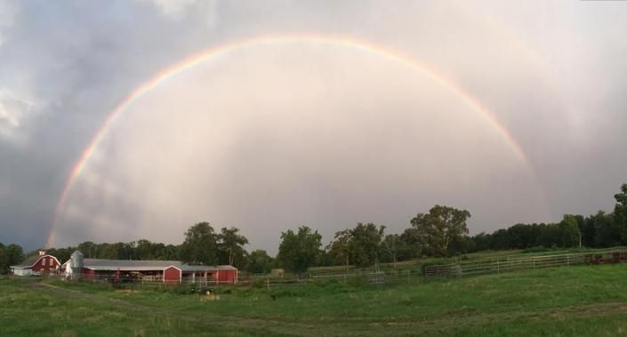 Wide rainbow over a rural field with trees and a red barn under cloudy sky