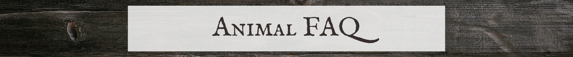 Animal FAQ banner on a gray stone background with black serif text