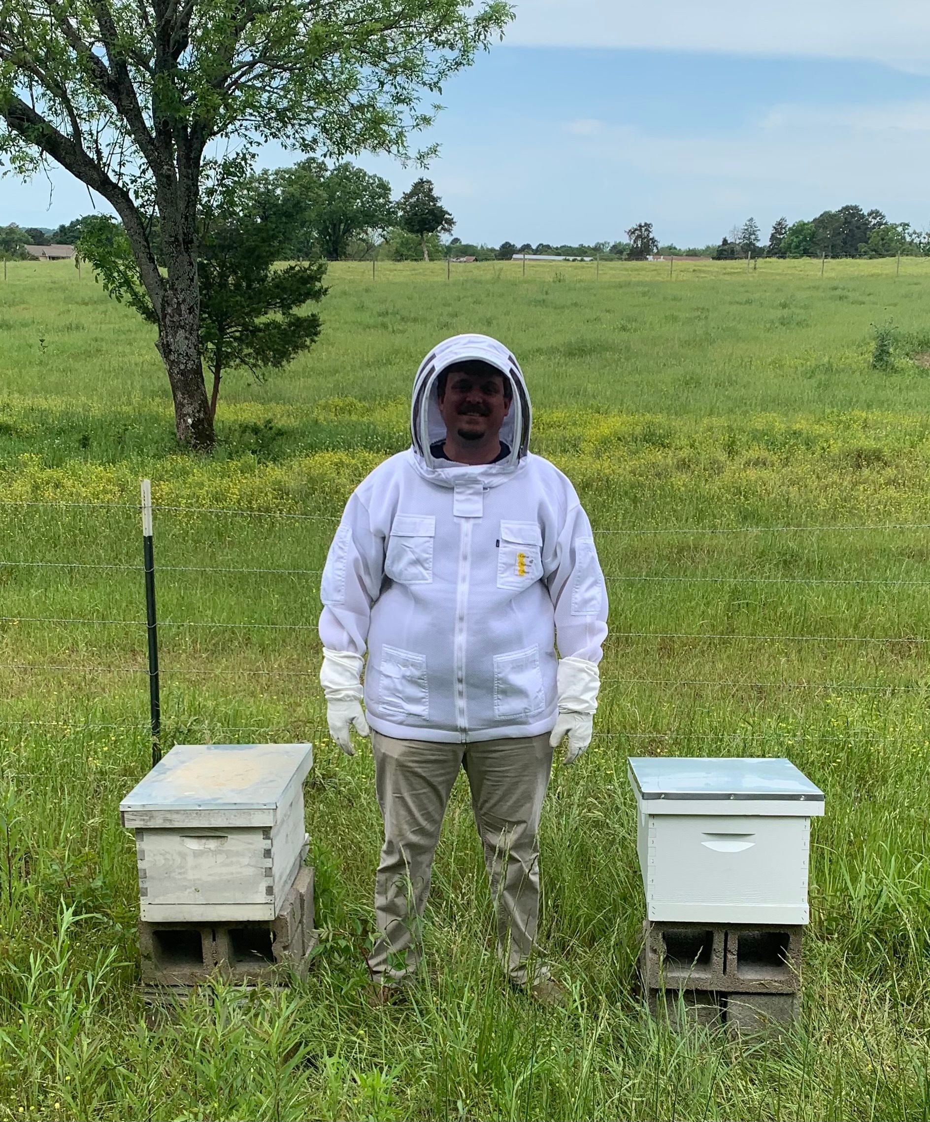 Person in a white beekeeping suit standing between two beehives in a grassy field under a tree.
