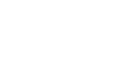 Shane Triggs Repair and Auction logo