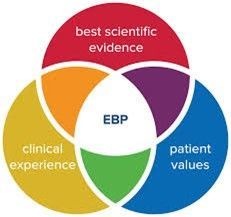 The components of evidence-based practices.