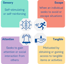A diagram showing the different types of sensory and attention