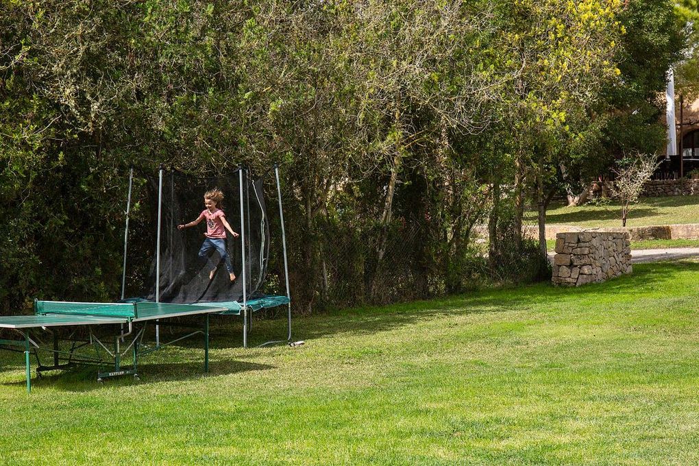Niño saltando en un trampolín en un patio trasero con césped, rodeado de árboles.