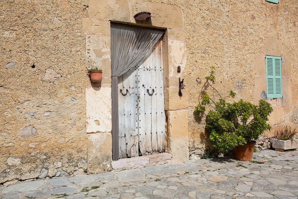 Puerta blanca desgastada situada en una pared de piedra, con una pequeña planta en una maceta cercana.