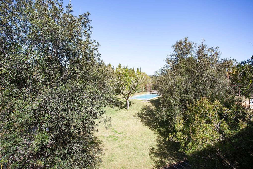 Un exuberante campo verde con árboles y una piscina al fondo.