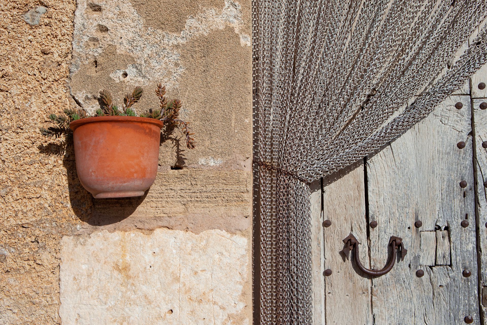 A potted plant is hanging on a wall next to a wooden door.