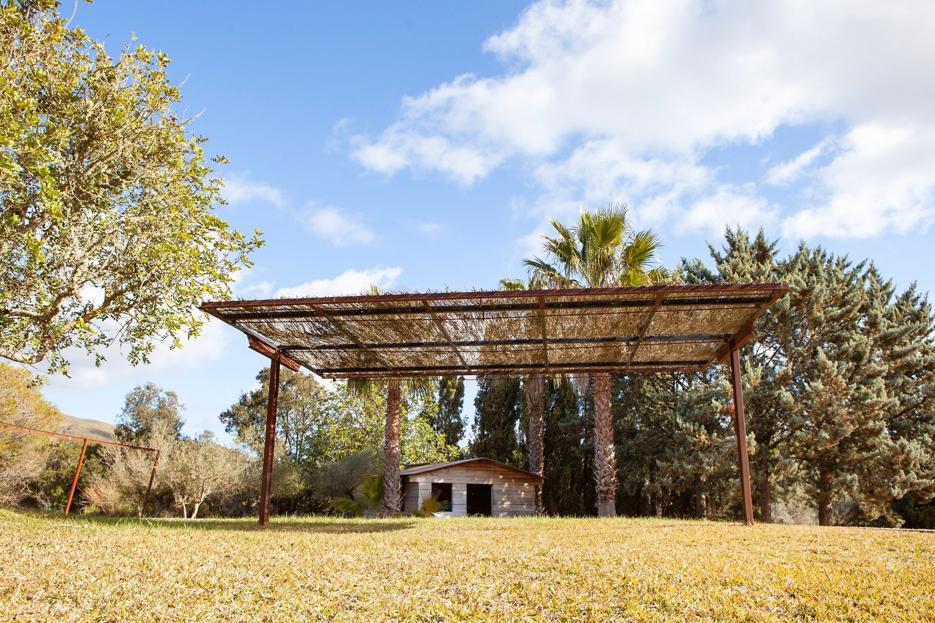 A pergola is sitting in the middle of a lush green field.